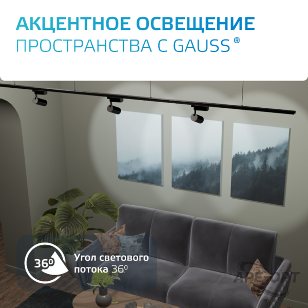 Основное изображение товара