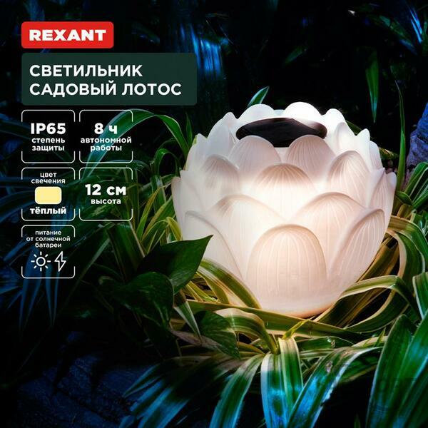 Основное изображение товара