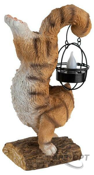 Основное изображение товара