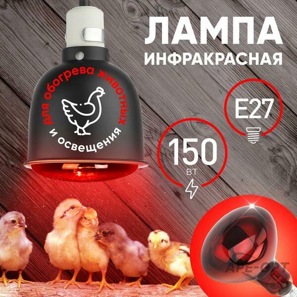 Основное изображение товара