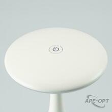 Изображение товара https://img.ape-opt.ru/images/products/original/01/91/6a/01916a7145fac90d01b6e580960a4aad.JPG