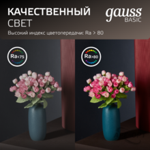 Изображение товара 2
