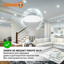 Изображение товара 1