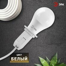 Мини-изображение товара