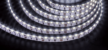 Изображения товара Лента светодиодная NLS-335CWS120-8-IP20-12V | 14449 | Navigator