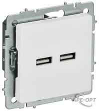 Изображения товара BRITE Розетка USB A+A 5В 3,1А РЮ10-1-БрАБ арктический белый | BR-U21-D31-K91 | IEK