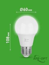 Изображения товара Лампа светодиодная GREEN LINE LED A60-10W-840-E27 GL E27 10 Вт груша яркий белый свет | Б0067135 | ЭРА