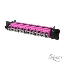 Изображения товара Адаптерная планка с установленными 6xLC Duplex адаптерами (aligned key)(цвет адаптера - пурпурный), OM4, 1/2 HU | RNAP6LHU4 | DKC
