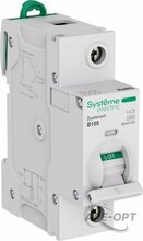 Изображения товара Systeme9 Автоматический выключатель (АВ) 27мм B 100A 1P 10 kA 230В | S9H31191 | SE