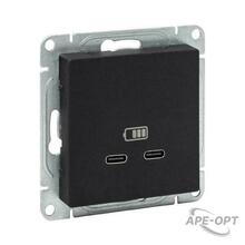 Изображения товара Механизм розетки USB-C - 2шт, чёрный Эпика EKF | UP1-SOB-2USBC | EKF