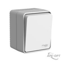 Изображения товара AtlasDesign Profi54 Серый О/У Выключатель 1-клавишный с самовозвратом 10 АХ | ATN543015 | SE
