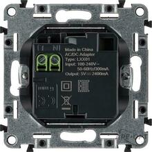 Изображения товара Valena LIFE DIY Белый Розетка 2-ая USB 240В/5В 1500мА | 753412 | Legrand