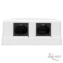 Изображения товара Розетка настенная TERACOM Cat.5E неэкранированная 2 порта RJ-45 Dual IDC белая | TRC-WBOX-2RJ45-5EUTP-WH | EKF
