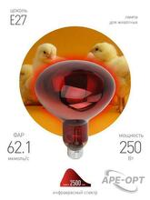 Изображения товара Инфракрасная лампа 250Вт ИКЗК 220-250 R127 Е27 для обогрева животных | Б0055442 | ЭРА