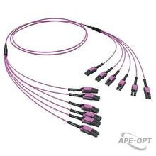 Изображения товара Оптическая разветвительная сборка 12ОВ 50/125 OM4, 6хLC Duplex Uniboot/6хLC Duplex Uniboot, 10м | RNFLL12410 | DKC