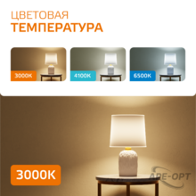 Изображение товара 4