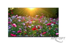 Изображения товара Монитор Uniview MW3243-F-V2 (43", 3840х2160, IPS)