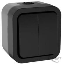 Изображения товара TORS Выключатель двухклавишный 10А IP55 TS105 графит | TS-V20-0-10-55-K53 | IEK