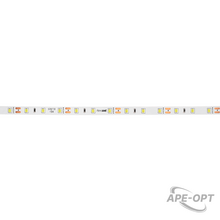 Изображения товара Лента светодиодная LED PLS 2835/60 6Вт 12В 6500К IP20 5м | 2858009 | Jazzway