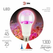 Изображения товара Фитолампа для растений светодиодная FITO-25W-RB-E27 красно-синего спектра 25 Вт Е27 | Б0069712 | ЭРА