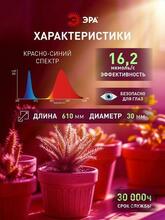 Изображение товара 4